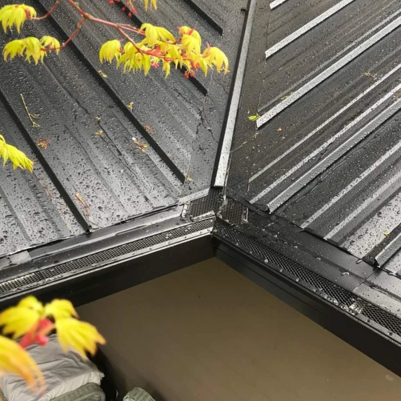 Gutter Guard