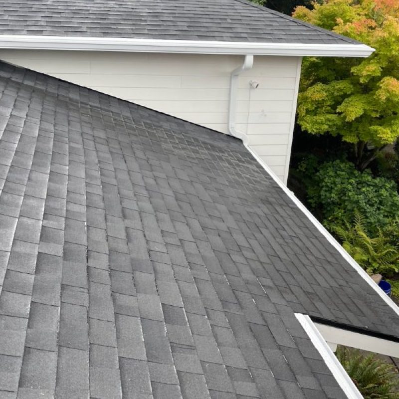 screen-shot-2024-10-15-at-9 (6)